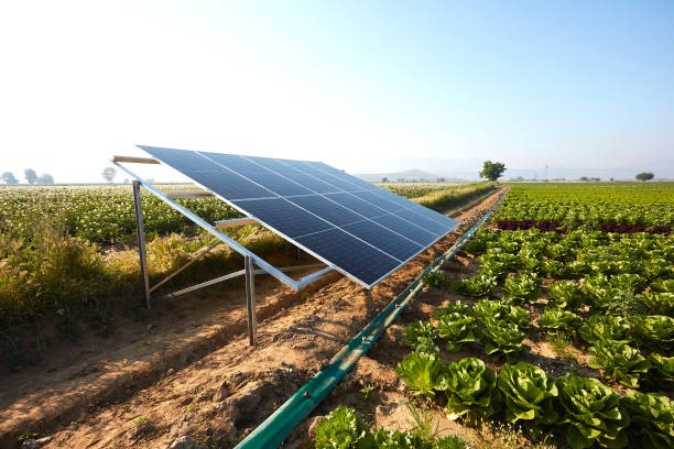 Saulės elektrinės ir ūkis: sąsaja ir nauda